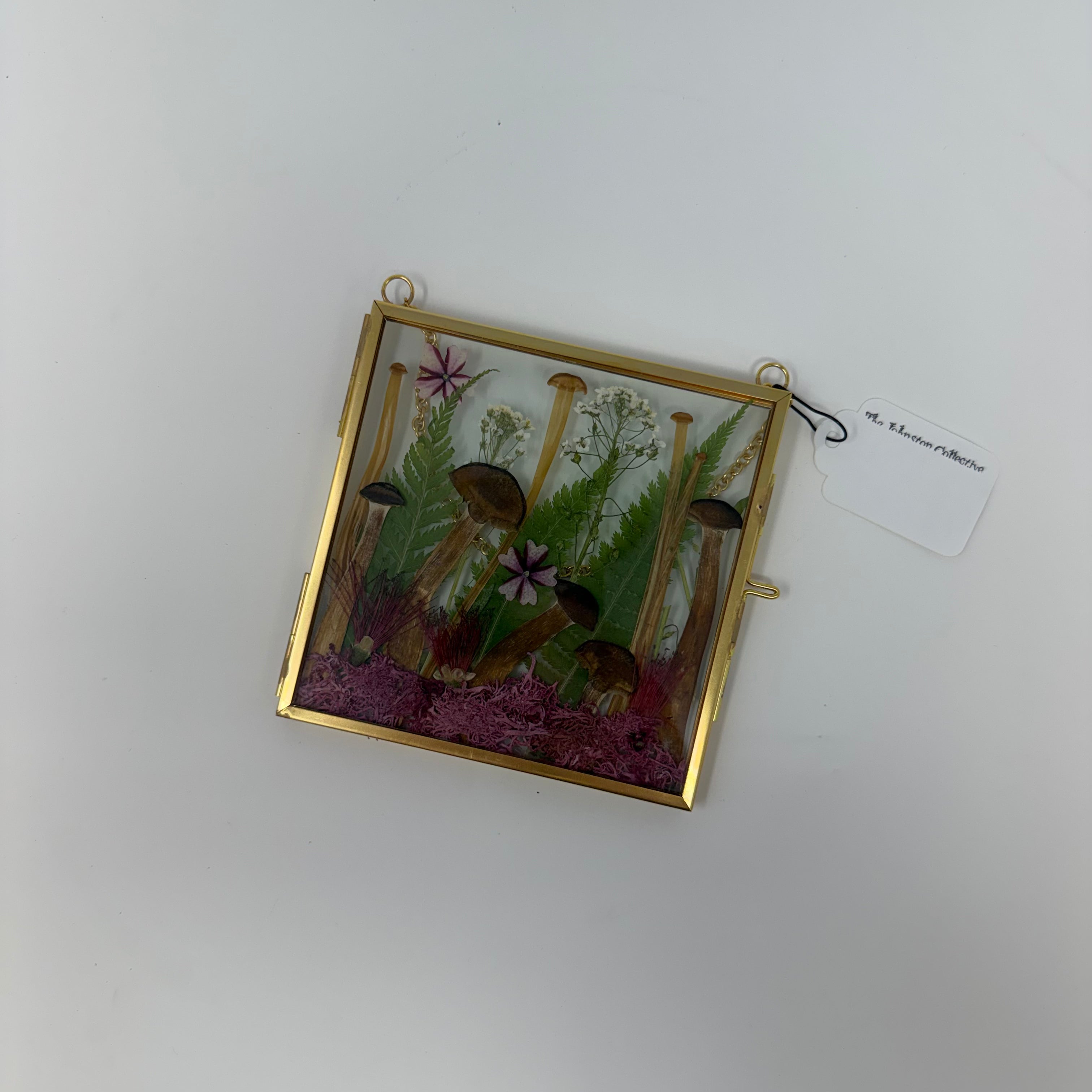 Framed Pressed Plants